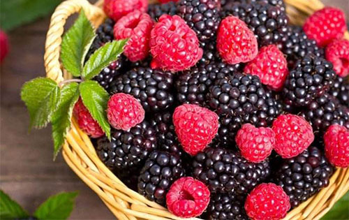 ɣ�صĹ�Ч ��ɣ�صĽ�������Щ